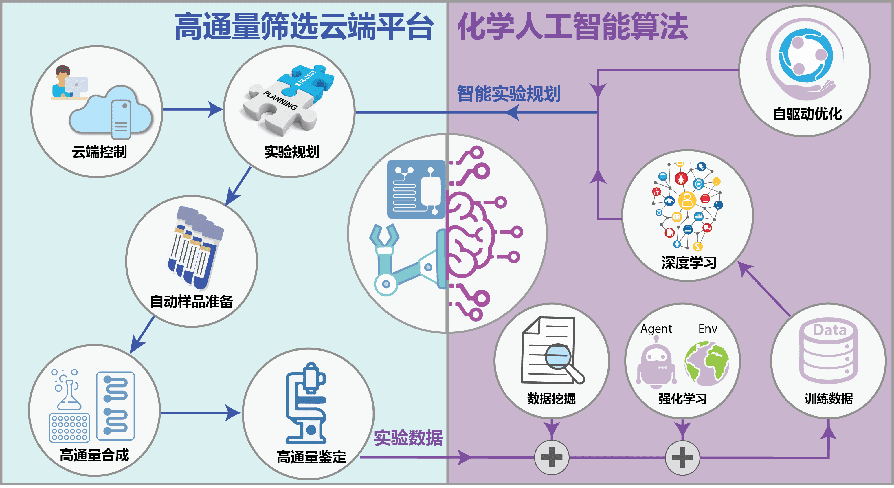 融合高通量筛选与人工智能